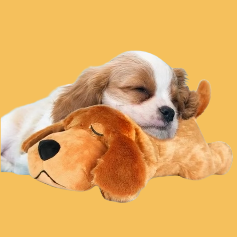 Peluche apaisante Doggystress.